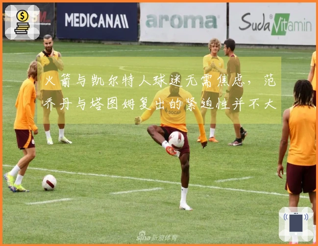 火箭与凯尔特人球迷无需焦虑，范乔丹与塔图姆复出的紧迫性并不大